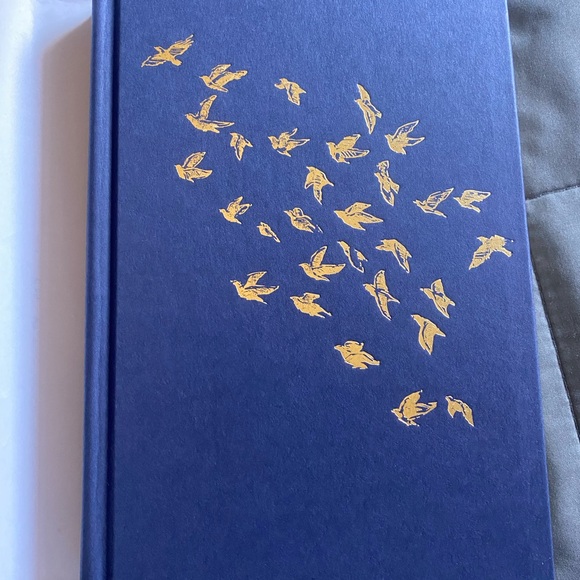 “Night of the raven dawn of the dove” by Rati Mehrotra - Picture 6 of 8